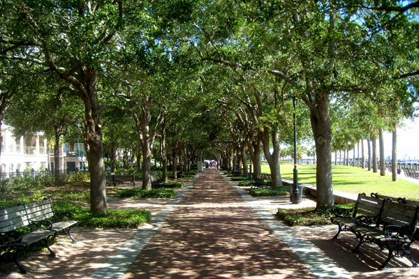 Waterfront Park, Charleston