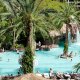 Flamingo Las Vegas Hotel & Casino pool overview