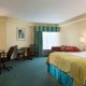 Holiday Inn Resort king room