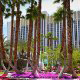 Beautiful Landscaping with Palms at the Tropicana Hotel and Casino in Las Vegas, NV. Take a relaxing walk and enjoy the nature while on your Spring Break Vacation to Las Vegas.